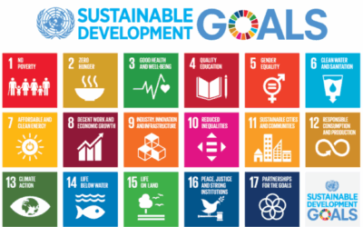 What are the SDGs and How Can We Help?