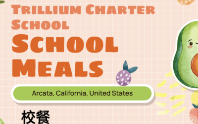 School Lunches – SDG 2